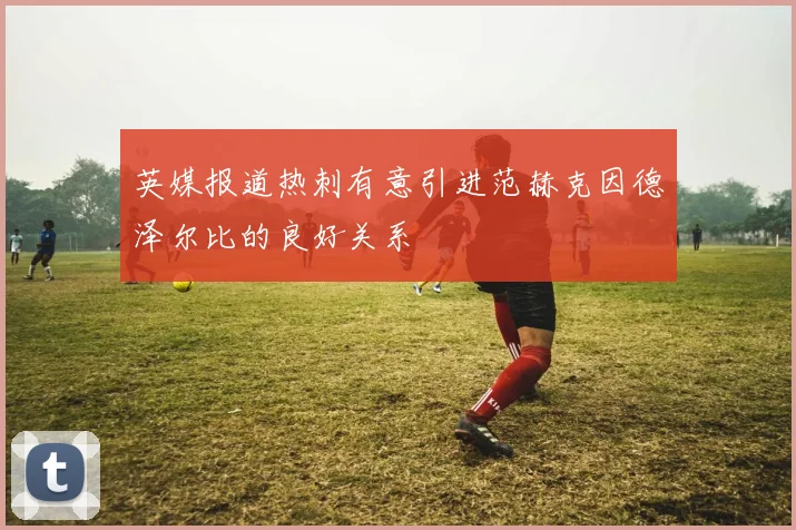 英媒报道热刺有意引进范赫克因德泽尔比的良好关系