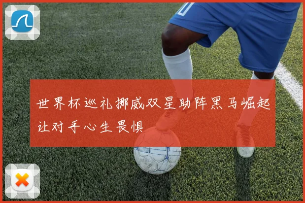 世界杯巡礼挪威双星助阵黑马崛起让对手心生畏惧